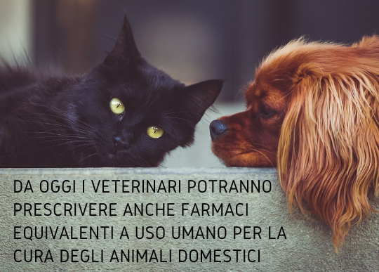 24.05.21 farmaci umani x animali.png